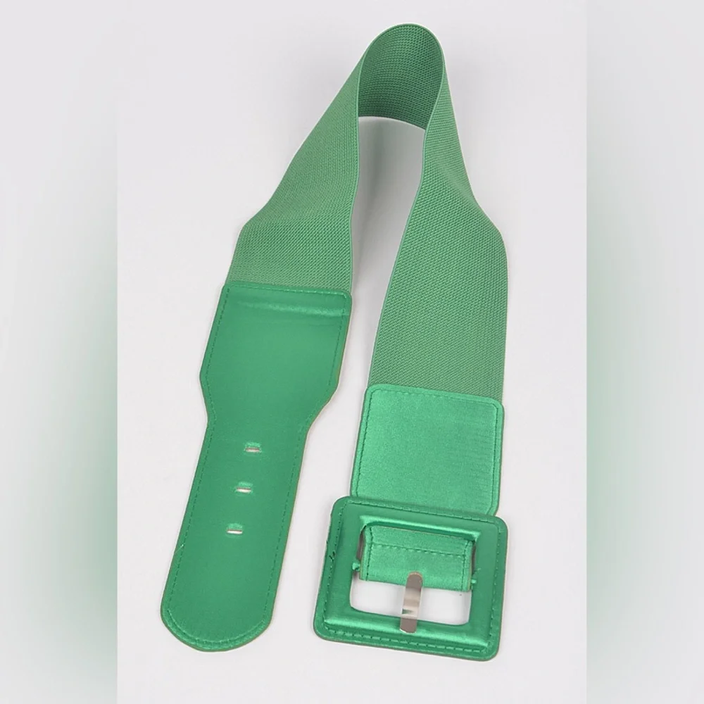 Satin Metallic Elastic Waist Statement Belt